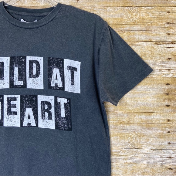 Anine Bing Vintage Wild At Heart Tee - Picture 6 of 11